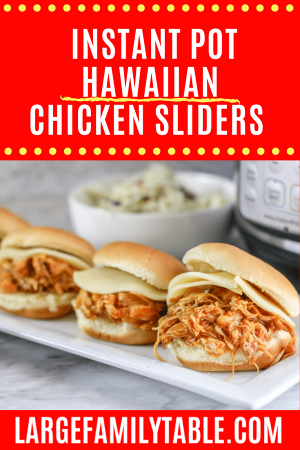BIG LIST of Large Family Make-Ahead Chicken Dinners! - Large Family Table