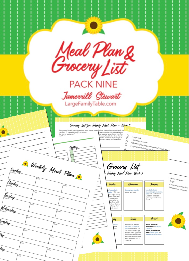 free-large-family-week-9-meal-plan-on-a-budget-free-meal-plan