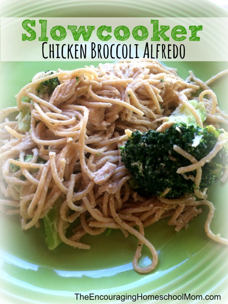 slowcooker chicken broccoli alfredo