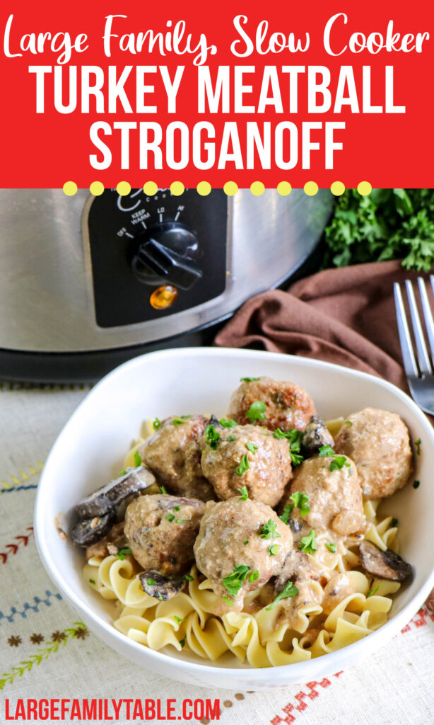 Big Family Slow Cooker Turkey Meatball Stroganoff Recipe