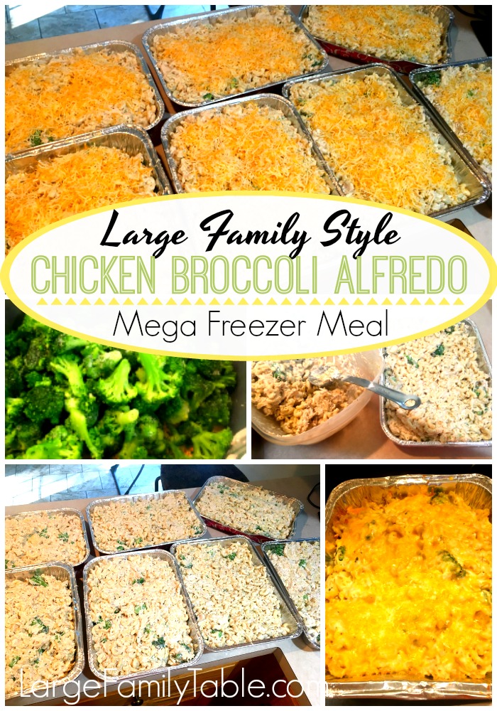 chicken broccoli alfredo meals in pans