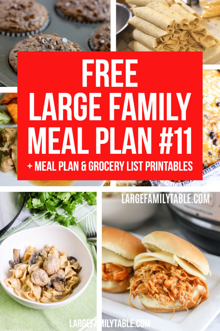 Large Family Meal Plan Week 11