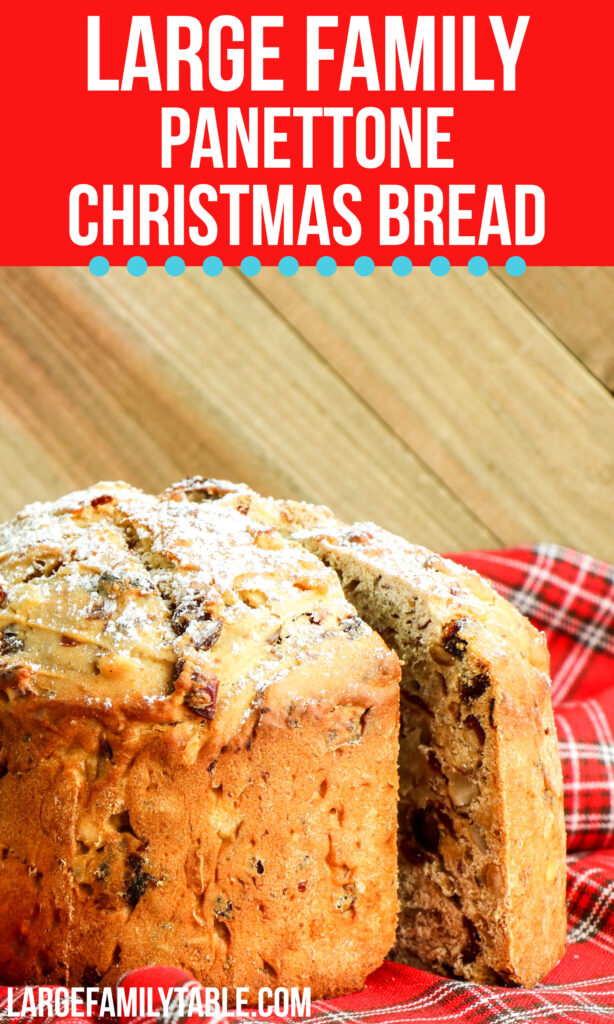 Large Family Panettone Christmas Bread