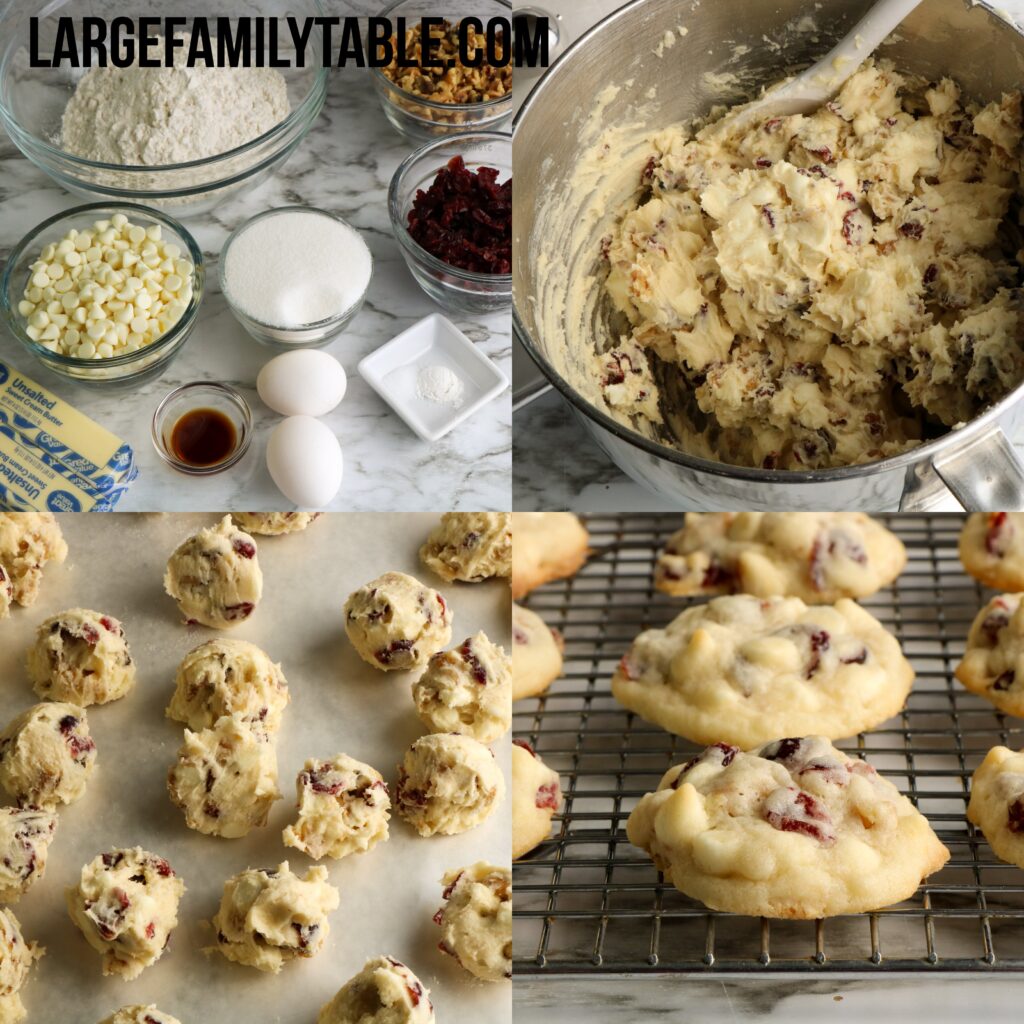 Large Family Make-Ahead White Chocolate Cranberry Walnut Cookies that You Can Freeze!