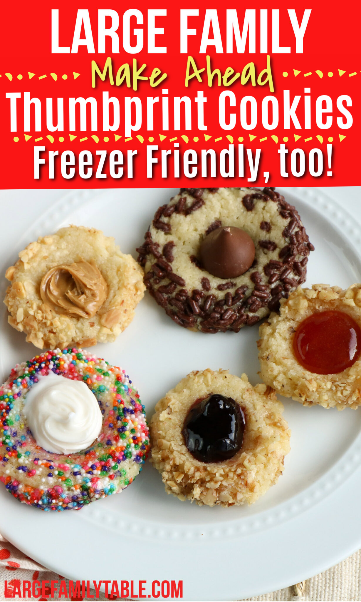 20+ Large Family Make-Ahead Cookie Dough Recipes that are Freezable