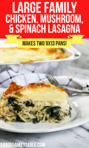 Chicken, Mushroom, and Spinach Lasagna