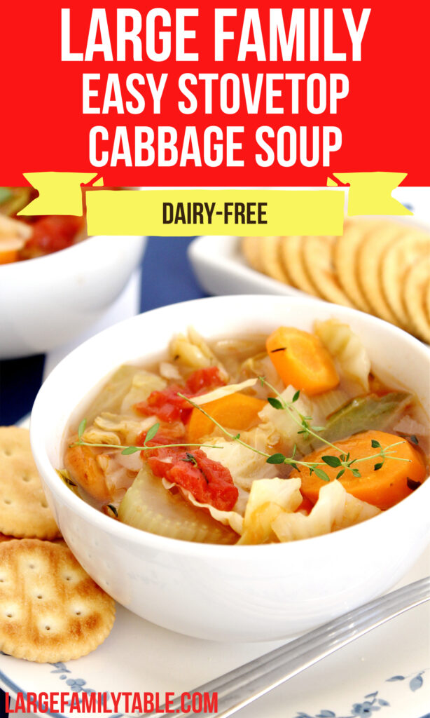 Large Family Easy Stovetop Cabbage Soup