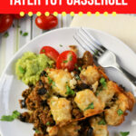 Large Family Slow Taco Tater Tot Casserole