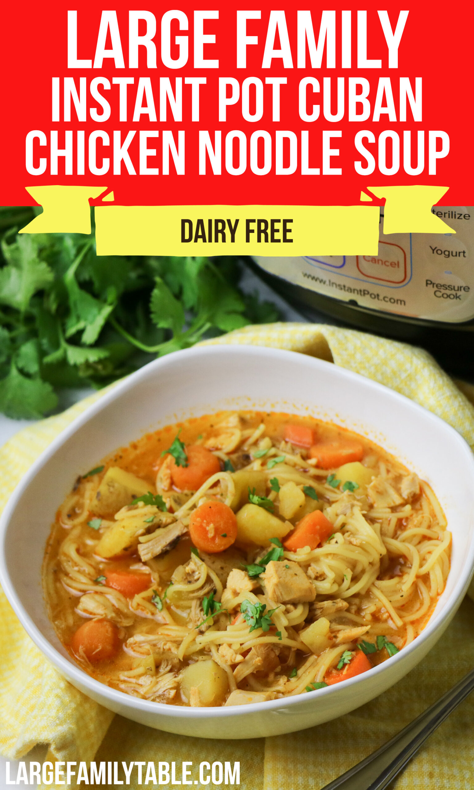 30-Minute Spicy Chicken Noodle Soup – State of Dinner