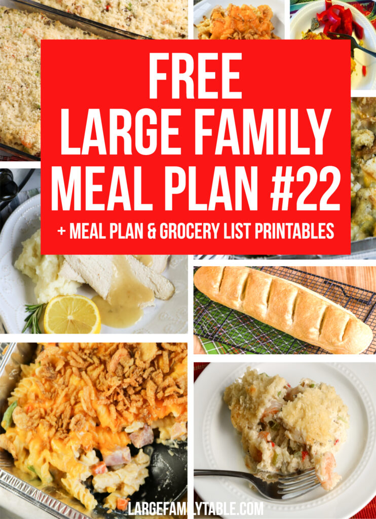 Week 22 Large Family Meal Plan + FREE Grocery List Printables for a Large Family on a Budget