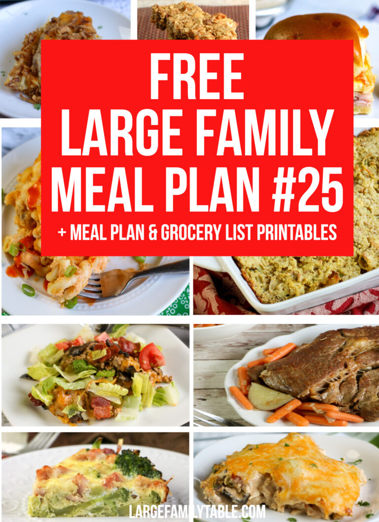 Large Family Meal Plan Week 25