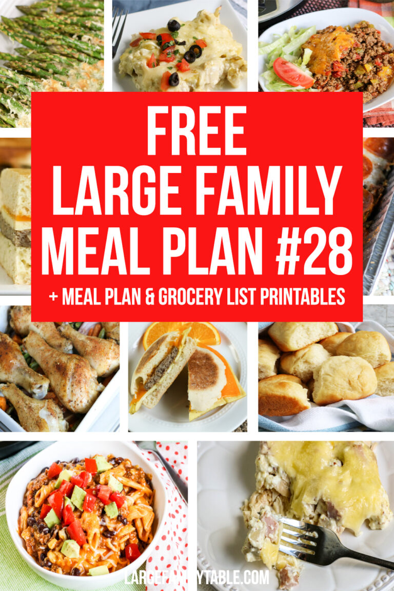 Large Family Meal Plan Week 28