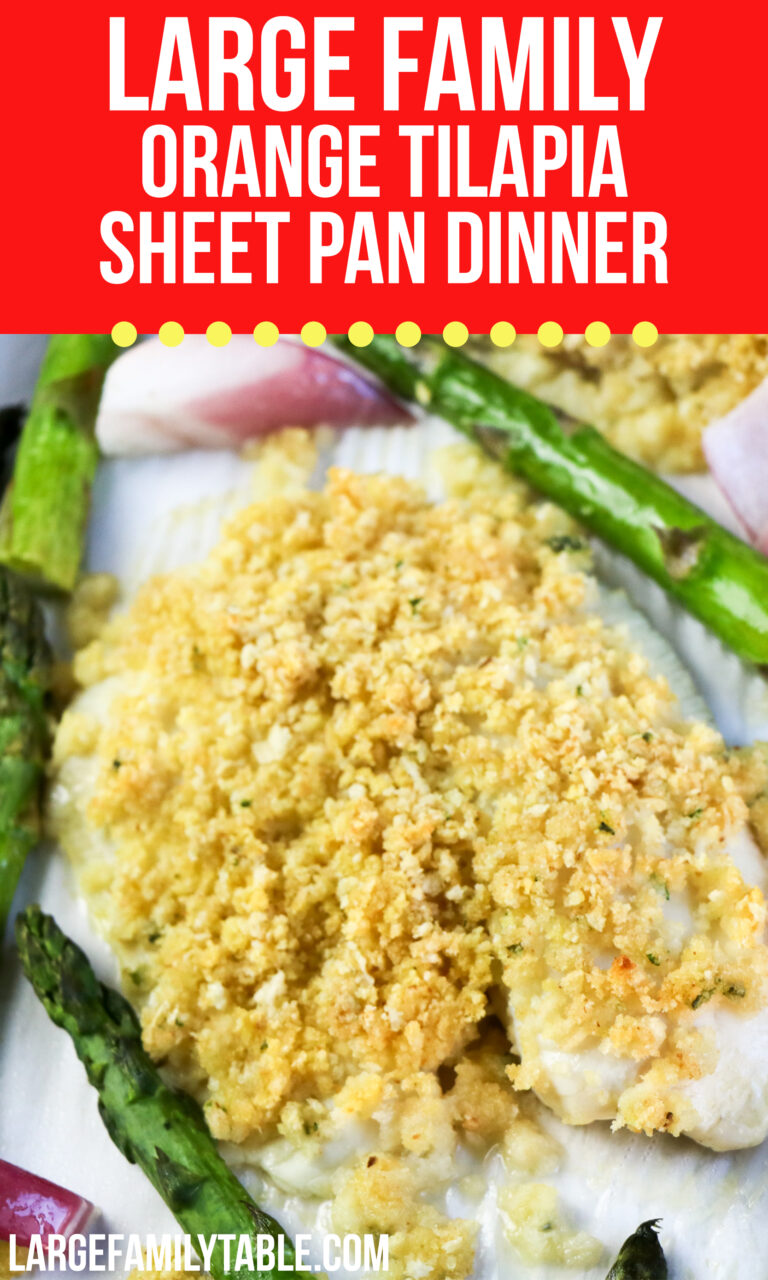 Large Family Orange Tilapia