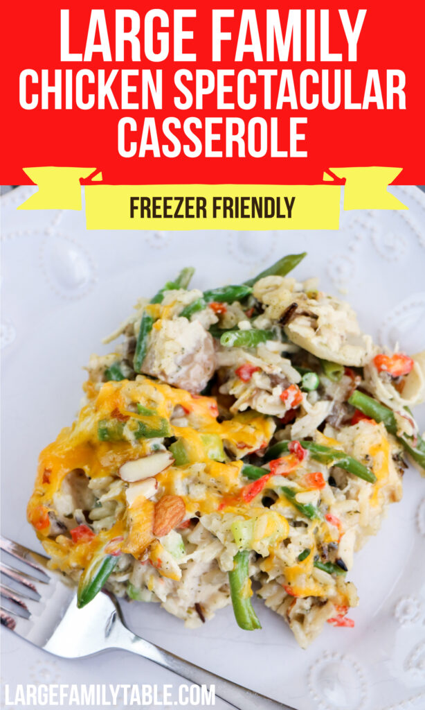 Large Family Chicken Spectacular Casserole