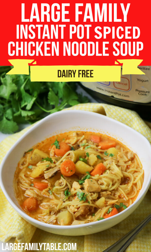 Large Family Instant Pot Spiced Chicken Noodle Soup, Dairy-free