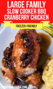 Large Family Slow Cooker BBQ Cranberry Chicken