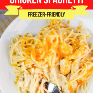 Large Family Slow Cooker Chicken Spaghetti