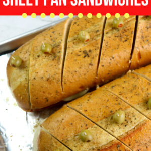 Large Family Toasted Sub