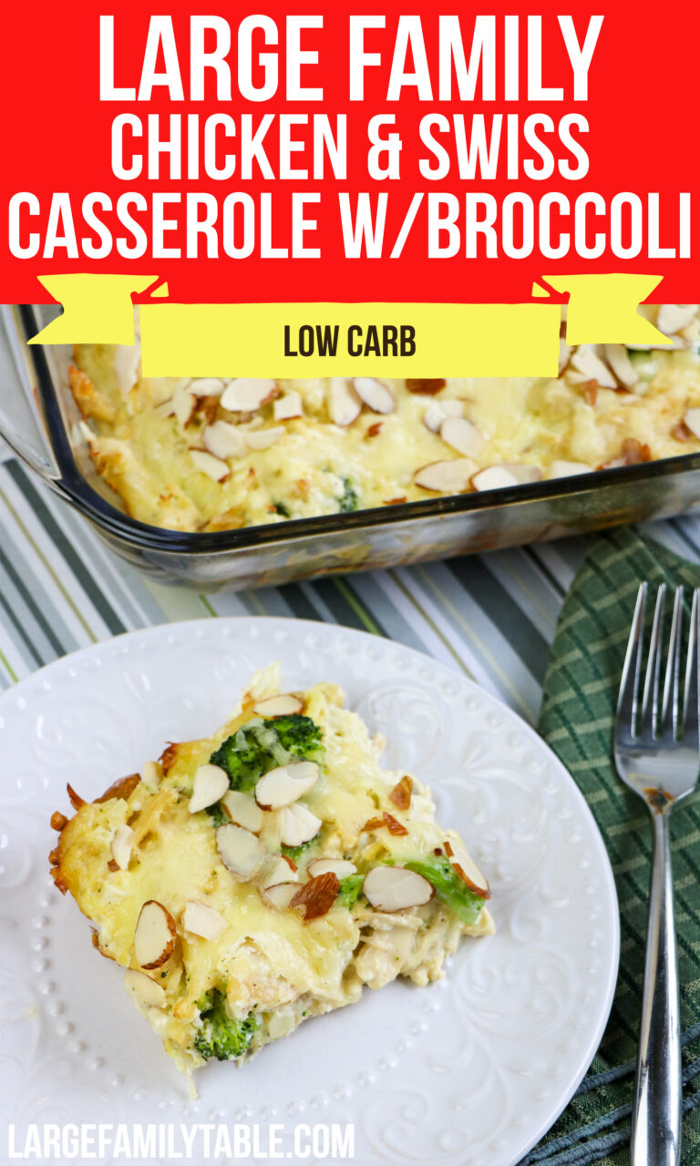 Big Family Chicken and Swiss Casserole