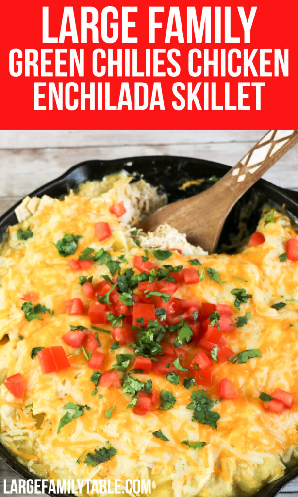Big Family Green Chilies Chicken Enchilada Skillet Meal