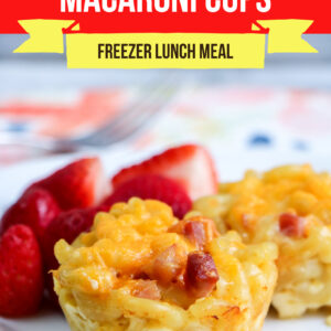 Large Family Ham and Cheese Macaroni Cup