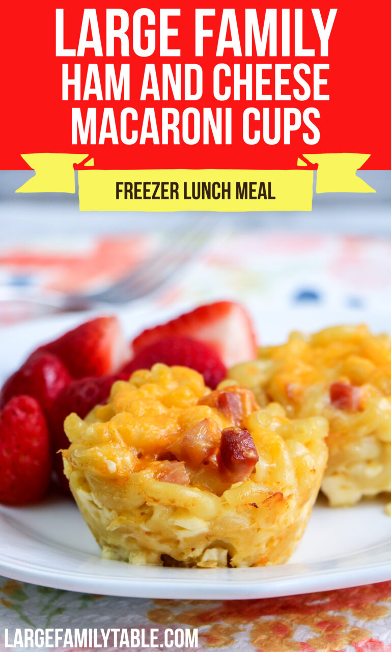 Large Family Ham and Cheese Macaroni Cup