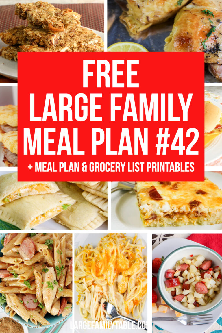 large Family Meal Plan 42