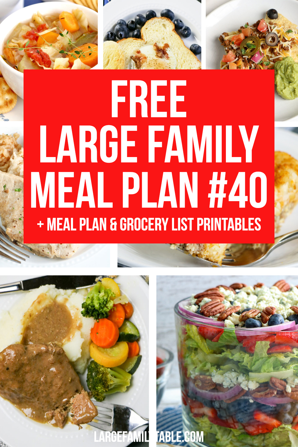Large Family Meal Plan 40