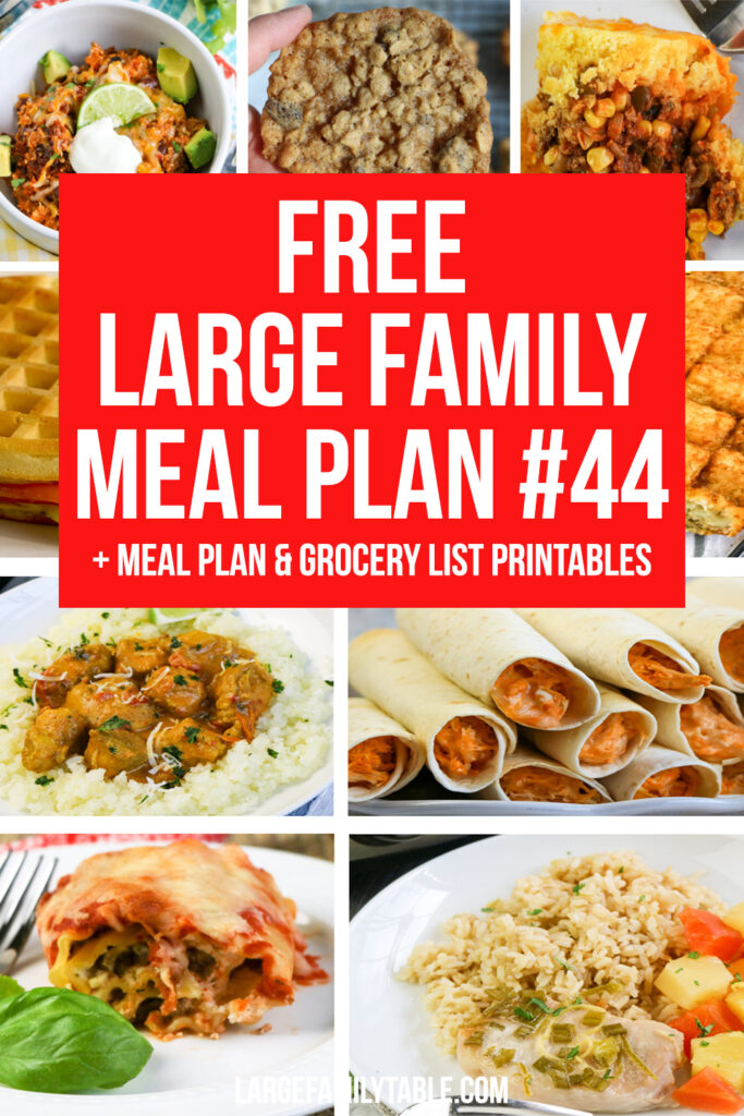 Fast and Fresh Meal Plan 44 for a Large Family