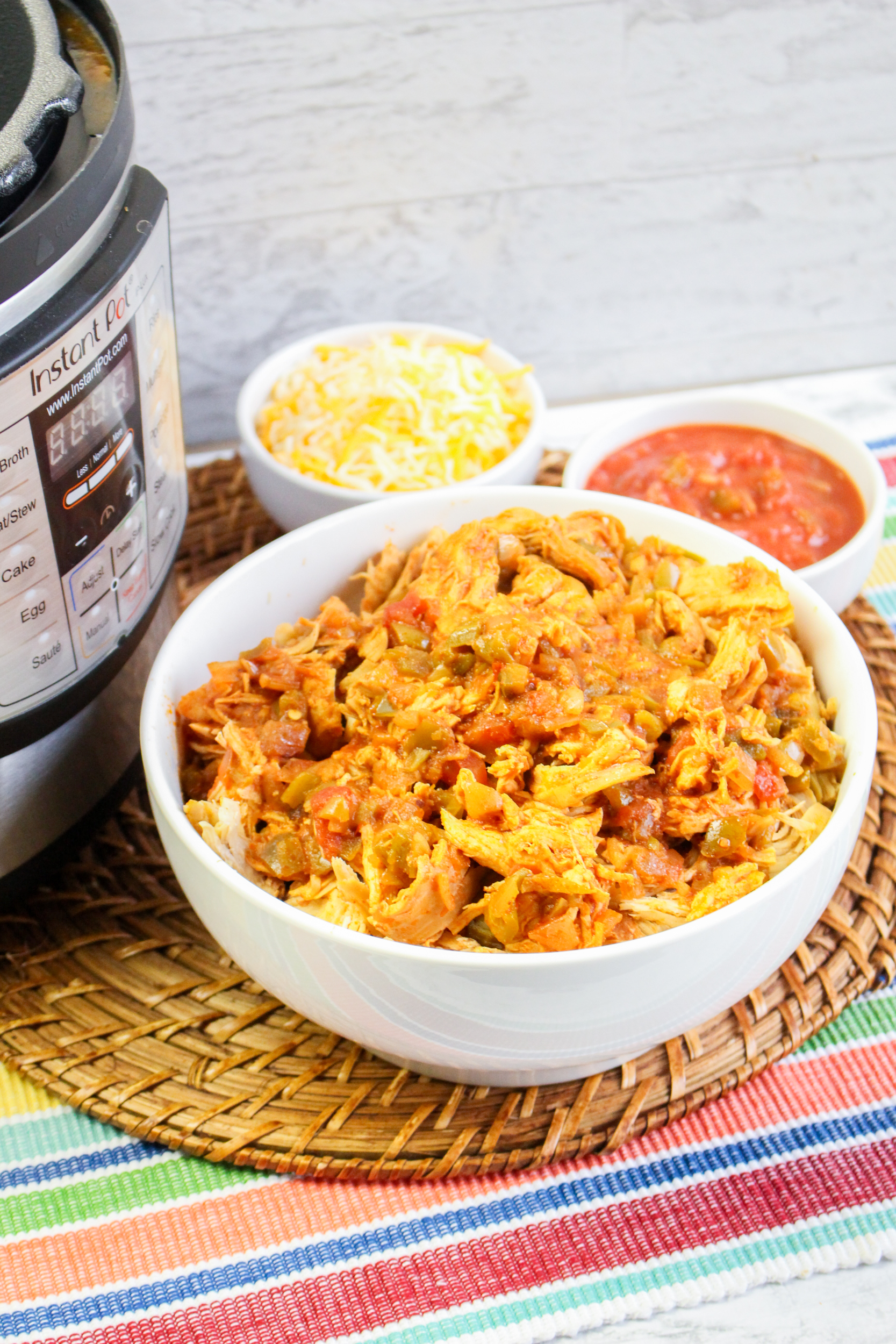 Large Family Instant Pot Salsa Chicken