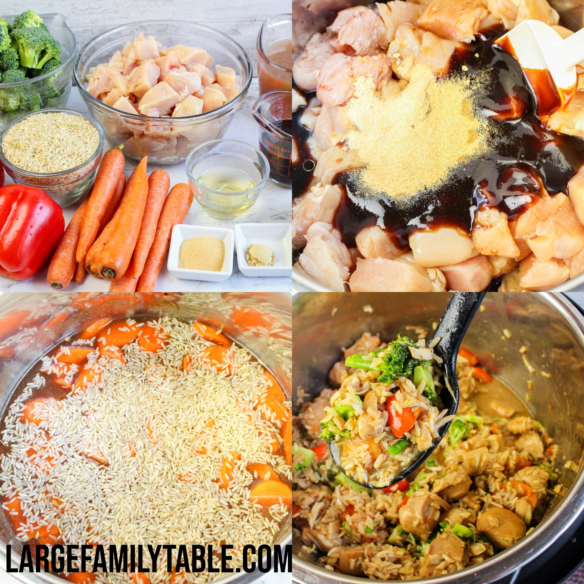 Large Family Instant Pot Teriyaki Chicken and Brown Rice Dairy Free