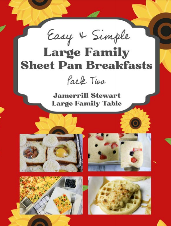 Easy Skillet Dinners {20 pages} – Jamerrill Stewart, Large Family