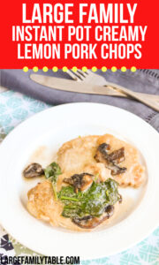 Large Family Creamy Lemon Pork Chops