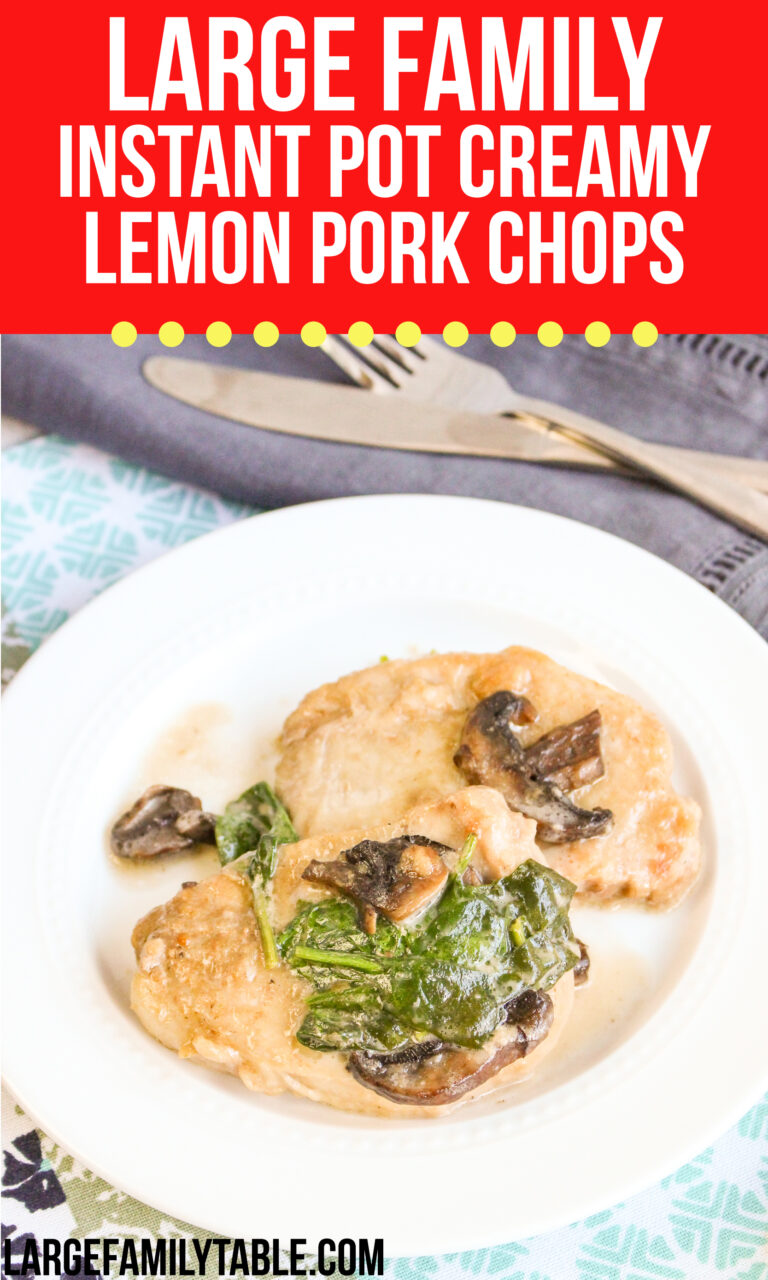 Large Family Creamy Lemon Pork Chops