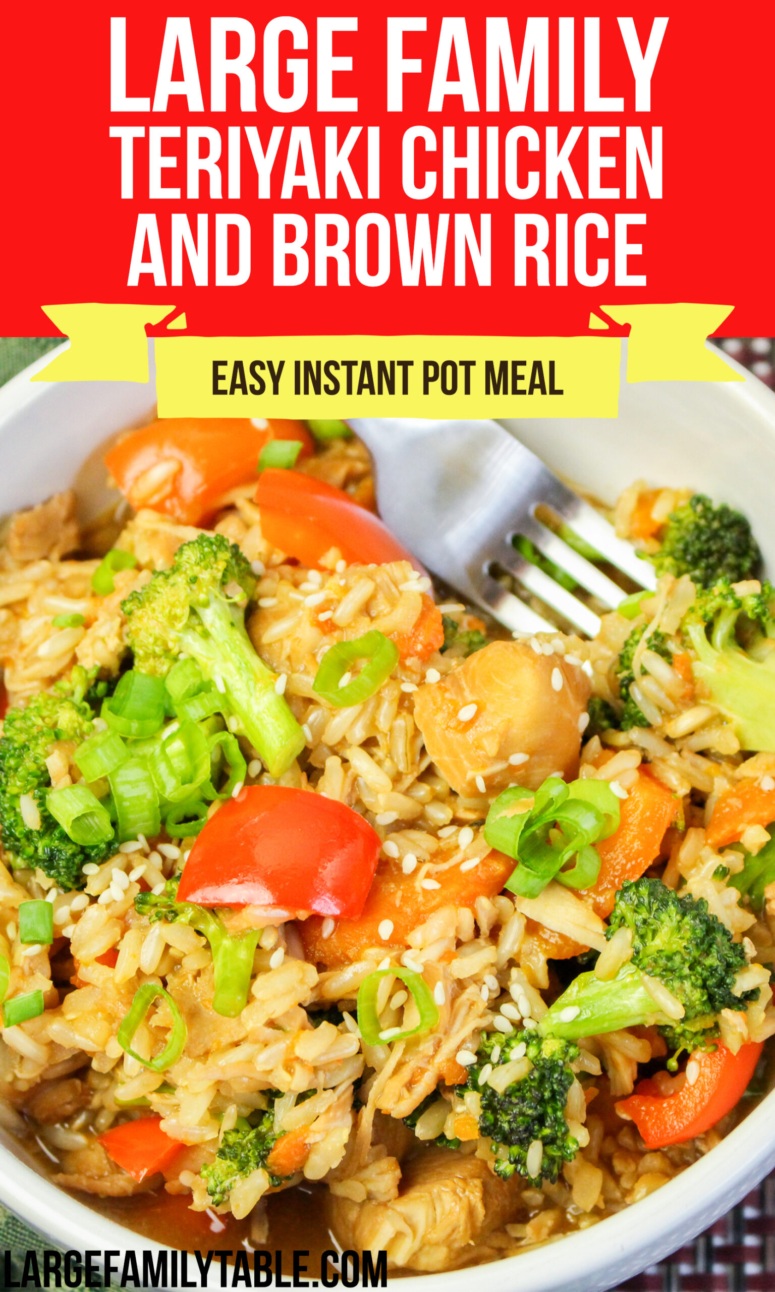 Large-Family-Instant-Pot-Teriyaki-Chicken-and-Brown-Rice