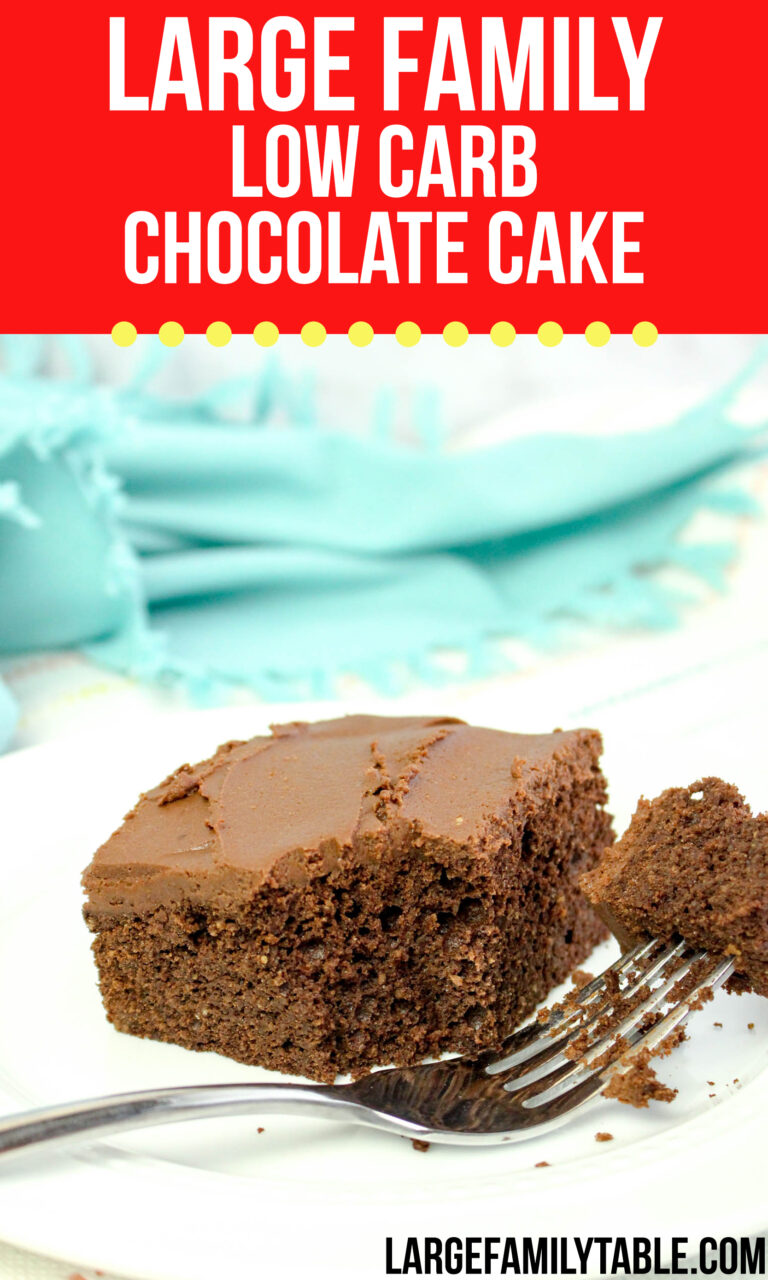 Large-Family-Low-Carb-Chocolate-Cake
