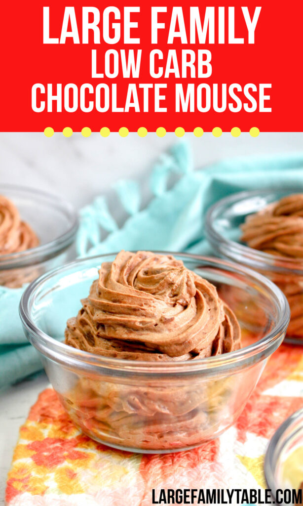 Large Family Low Carb Chocolate Mousse