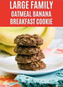 Large Family Oatmeal Banana Breakfast Cookies