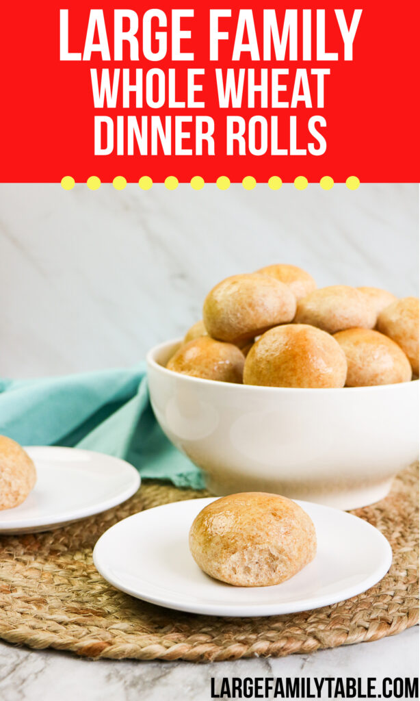 Large Family Whole Wheat Dinner Rolls