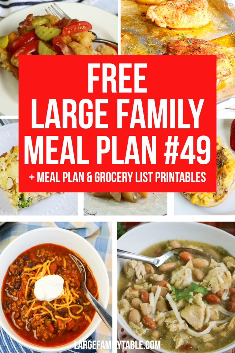 Large Family Meal Plan 49