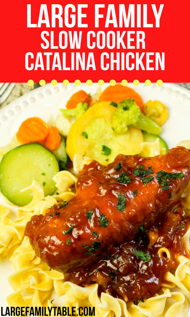 Large Family WONDERFUL Slow Cooker Catalina Chicken Recipe *so good!*