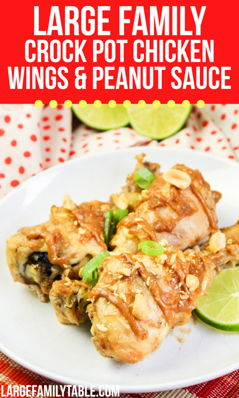 Large Family Crock Pot Chicken Wings & Peanut Sauce