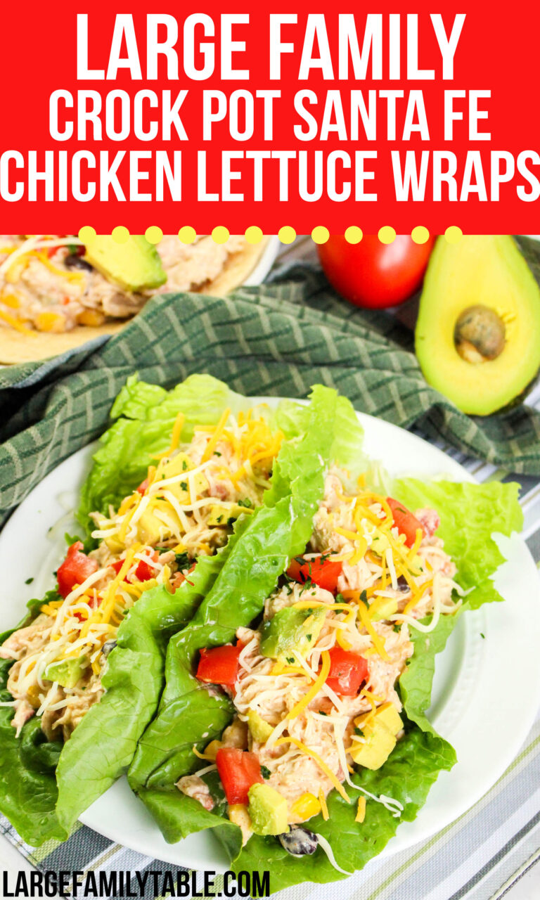 Big Family Crock Pot Santa Fe Chicken Lettuce Wraps Recipe
