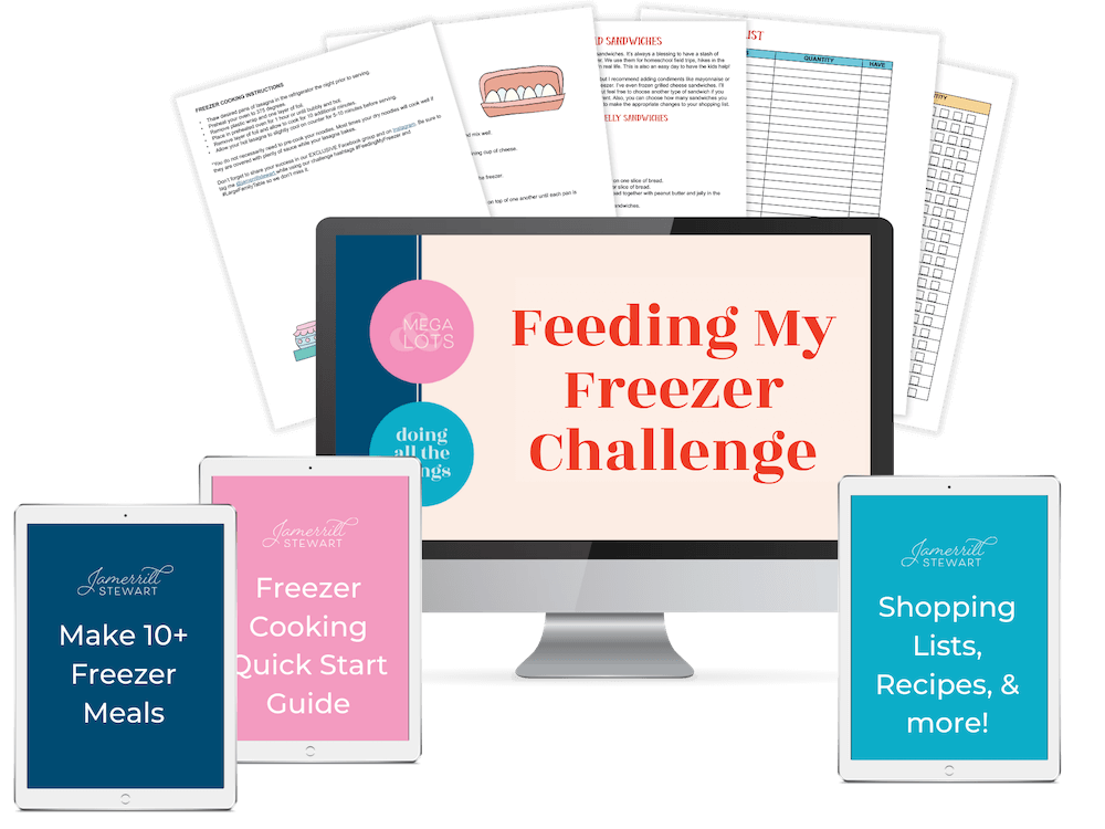 https://largefamilytable.com/wp-content/uploads/2022/01/Freezer-Challenge.png