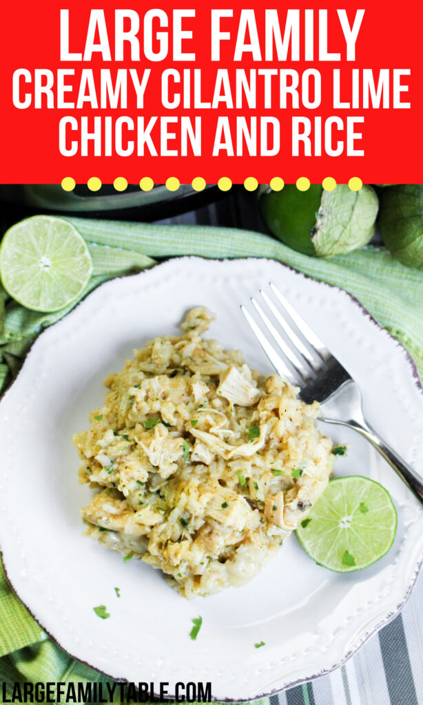 Large Family Low Carb Creamy Cilantro Lime Chicken and Rice | Gluten-Free Recipe