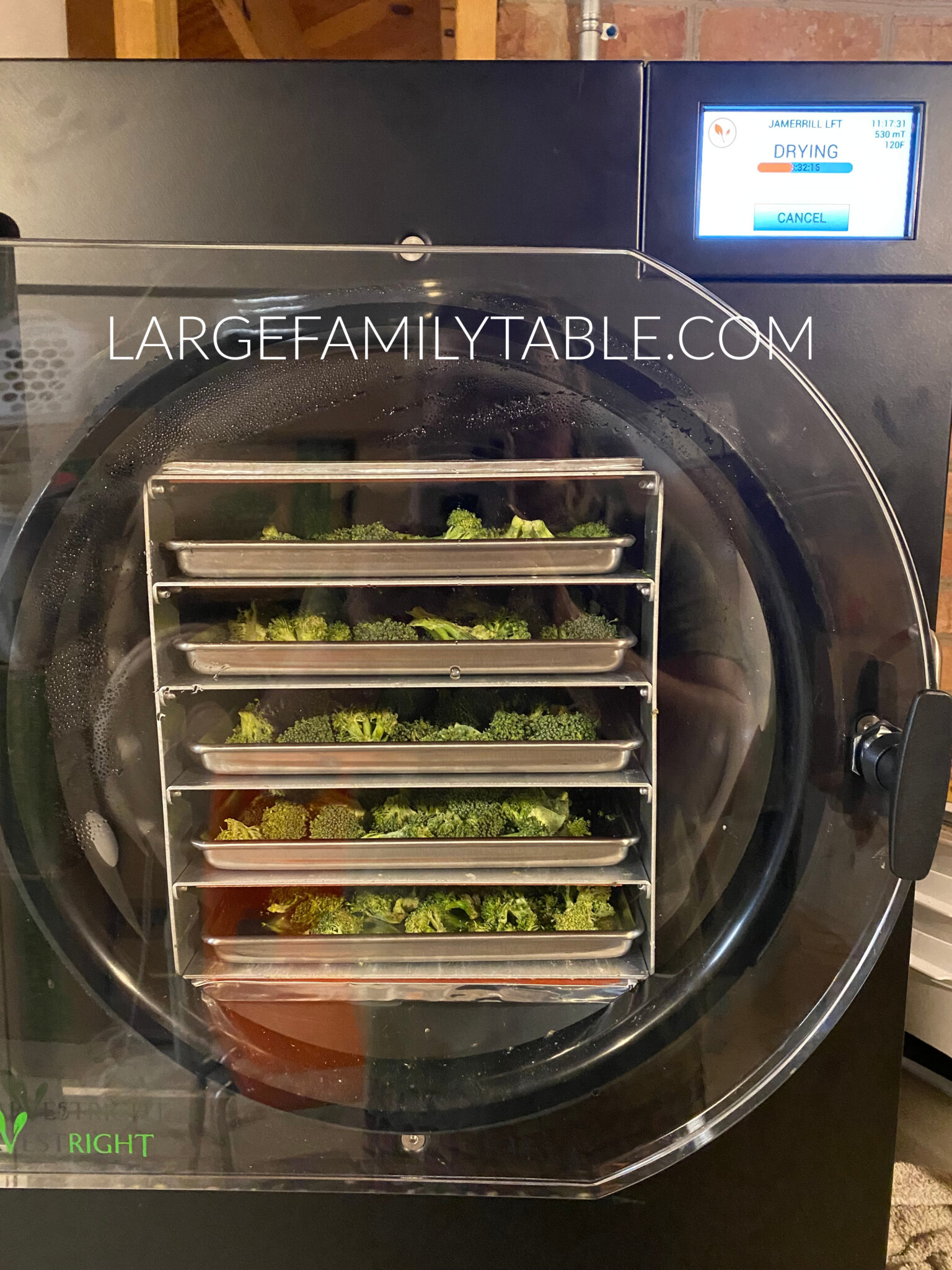 Large Freeze Dryer Large Family Table   LARGE FREEZE DRYER Broccoli  1536x2048 