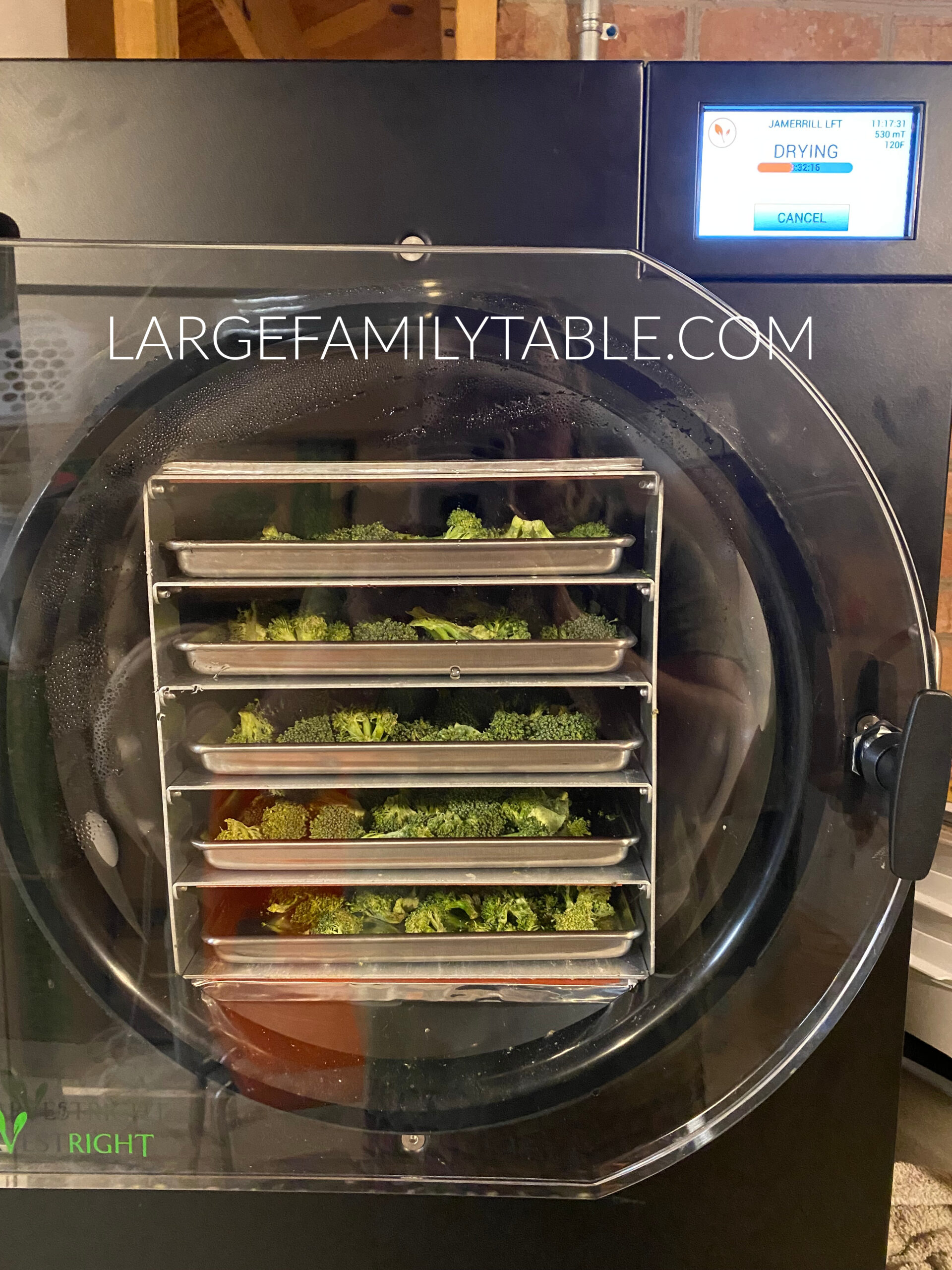 Large freeze dryer large family table