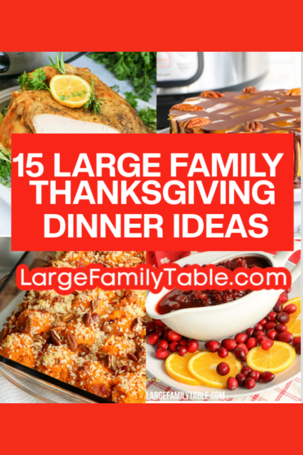 Thanksgiving Ideas 2025 Dasha Delcina