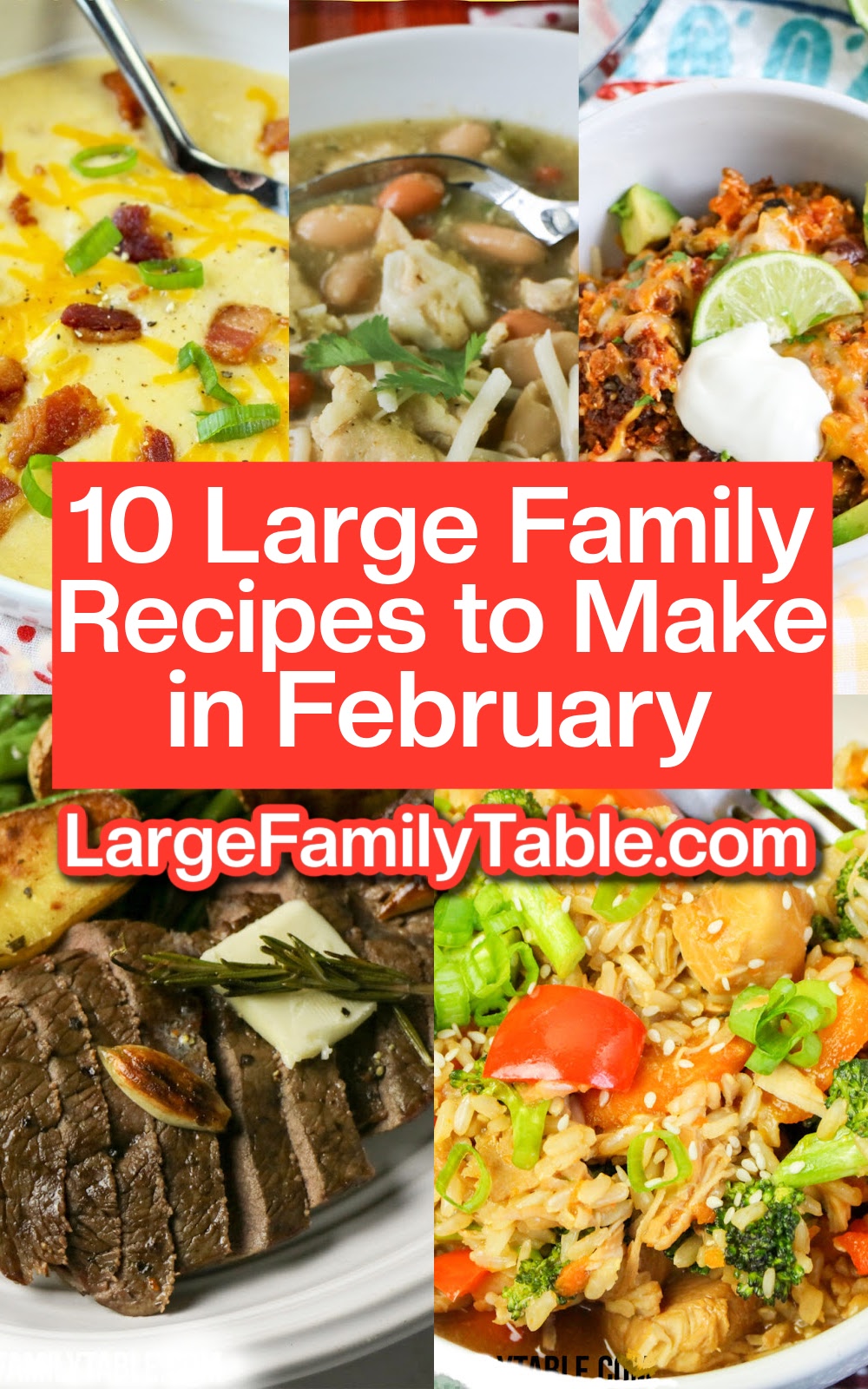 10 LargeFamily Recipes to Make in February
