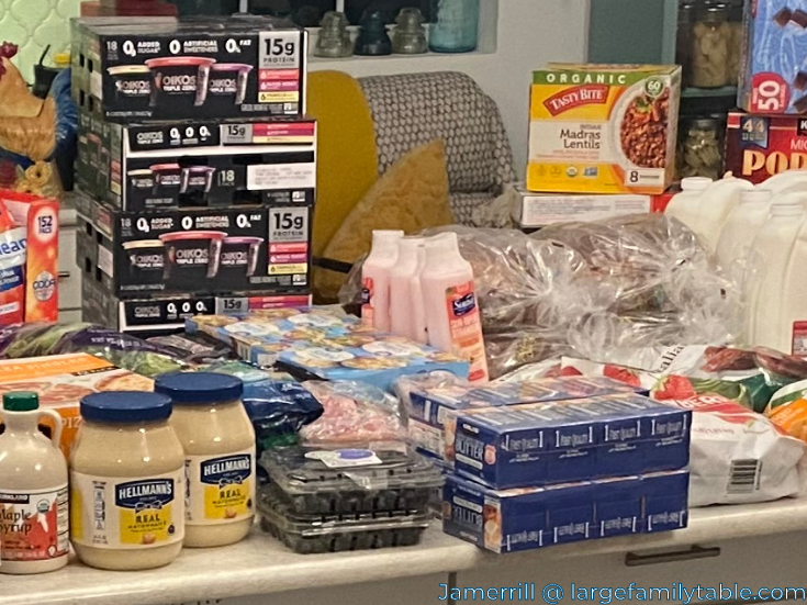 Shop with Me at America's Cheapest Grocery Store and Costco